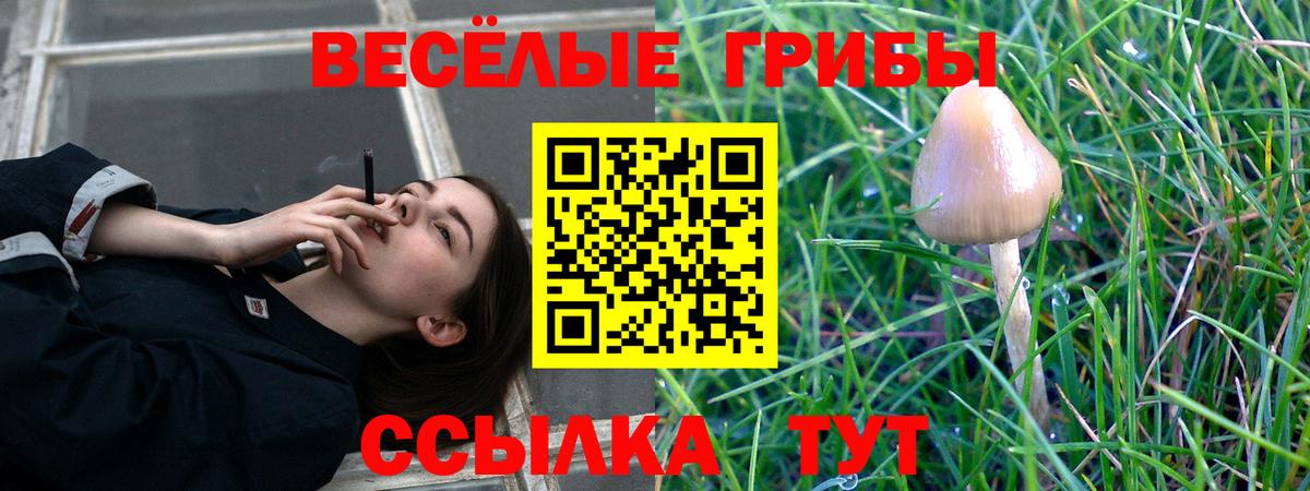 Карталы  Псилоцибиновые грибы прущие грибы  Галлюциногенные грибы Cubensis  Вход с VPN 